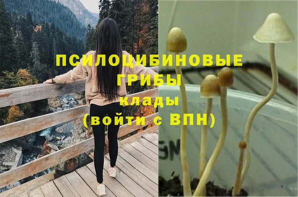 Альфа ПВП Касимов