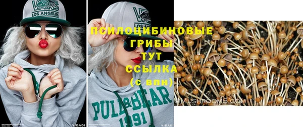 гидра Карталы