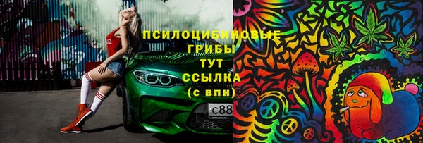 Альфа ПВП Касимов