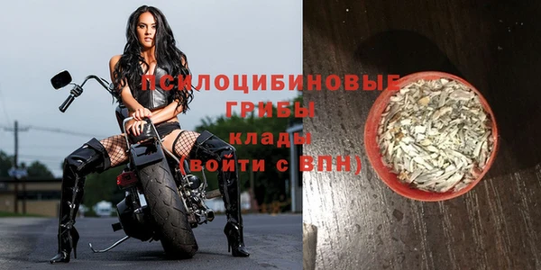 наркотики Карпинск