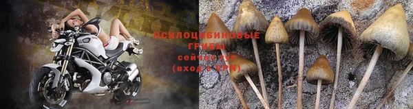 наркотики Карпинск