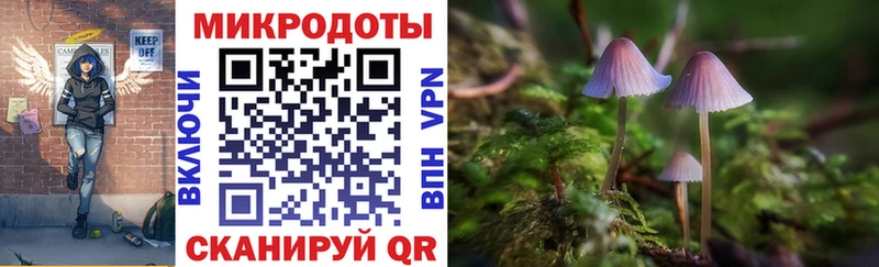 Галлюциногенные грибы мухоморы Ивдель
